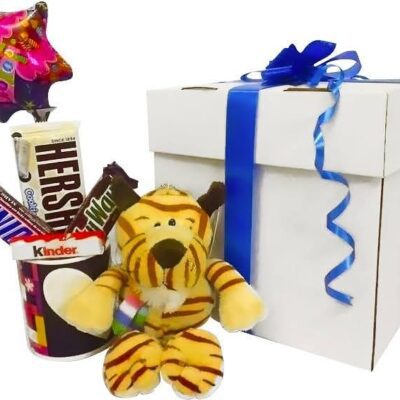 REGALO SORPRESA